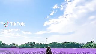 Beautiful Place 45