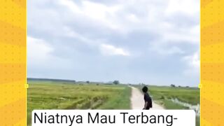 niatnya mau terbangin malah ikut terbang