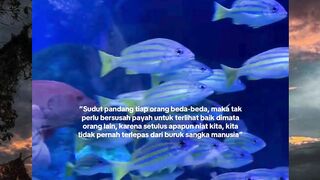 Kadang kita terlalu lelah mencari penilaian manusia,