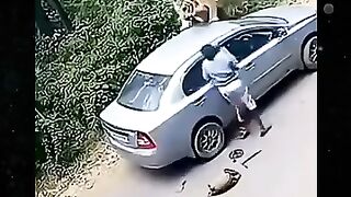 Tiger attacks man  shortvideo #funny #shortsviral #harimau
