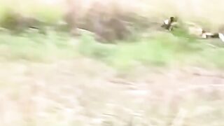 Hunter Turned Into The Hunted
