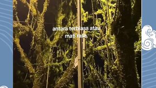sad song 15
