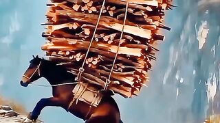 Horse Carries an Impossible Load Across a Cliff!
