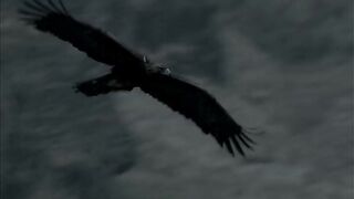 Vikings.S02E07