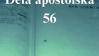 Dela apostolska 56
