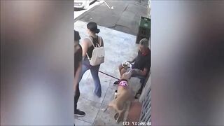 Funny Videos Part 1 3