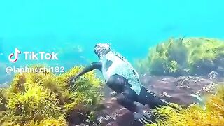 Beautiful Colourful Fishes 2