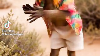 Funny Monkey Dance