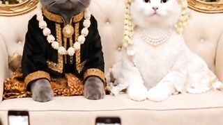 Sedihnya Oyen ditinggalkan oleh kekasihnya
