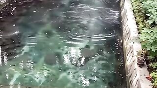 Cleaning and renovation of water canal shor