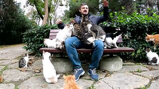 No street cat can resist the warmth of this man's compassionate embrace.