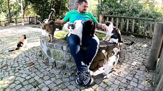 The Most Beloved Man in the Cat World