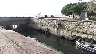 I Learned the Secret of from Street Cats