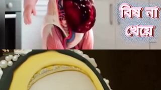 Nasheed -