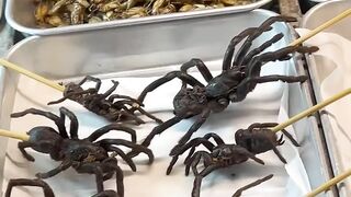 POV Friend Snakes in Thailand????streat Food Adventure