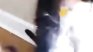 Cute cat 142