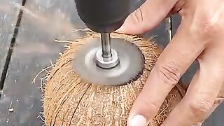 Transformando um coco em um lar aconchegante para os pássaros! ????