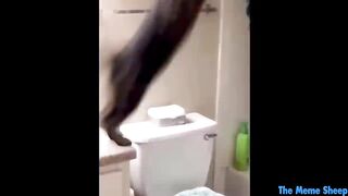 TikTok Memes That Will Make You Laugh Uncontrollably