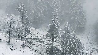 Kashmir snowfall