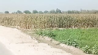 Village Life