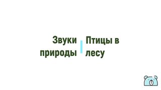 Звук птиц и природы для сна ✨????