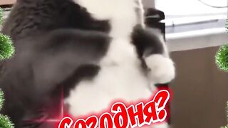 С-понедельником_36.