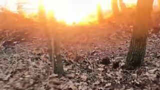 Russian military shows what it says is frontline footage from Ukraine's Donetsk region