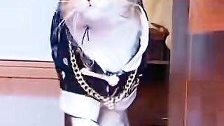 Cat funny