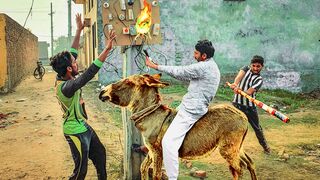 Funniest video of 2023, Laughterliest video of 2023