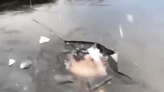 Respect ????????????????