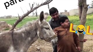 Snaptik_6916945183129226497_shamaila-khan.m