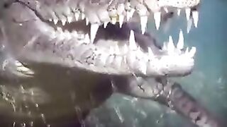 Факты