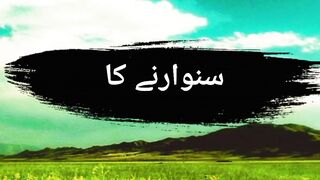 Poetry videos