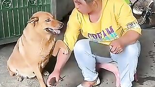 smart dog 4