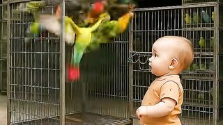 Baby Emotional Story