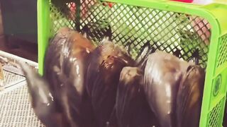 Sea ⛵???? Food ???????????????? #viral
