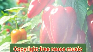 Creative music copyright free