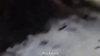 Nekat Tangkap Ular