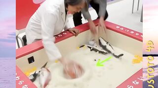 Fakta Dibalik Pasir yang Mencair!!  versi plustoto4d