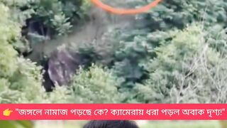 ✨ প্রকৃতির মাঝে এমন শান্ত দৃশ্য দেখলে মন থমকে যাবে!