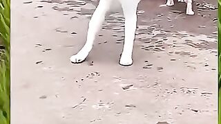 keep up the spirit of living with her kids