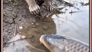 Theetahook Monekyy???????????? #monkeyvideos#funnyvideos #fish#water#fishvideo#monkeyfunny#ytshorts#funny