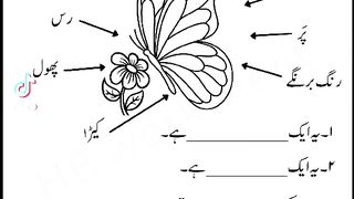 Urdu Worksheet Activity Butterfly