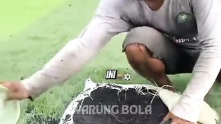 fungsi asli karet hitam lapangan