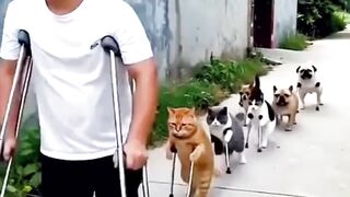 geng oyen gk ada ahlak???? - Tigerasia88