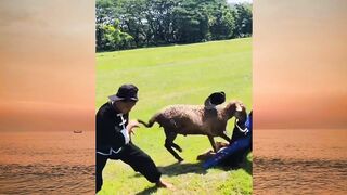 Di serang musuh secra tiba tiba