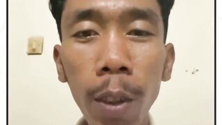 kucing apa ini