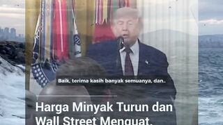 mesingg 20