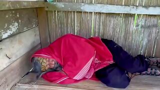 Gak bakalan mereka bisa tenang