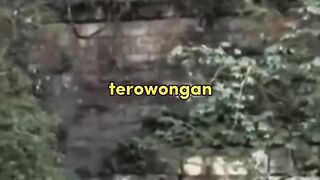 Menyusuri Terowongan Inunaki: Sisi Paling Kelam dan Angker di Jepang ????????????????